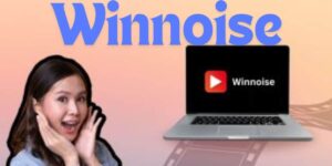 Winnoise