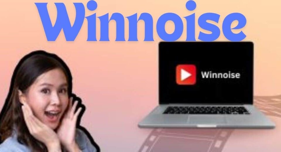 Winnoise